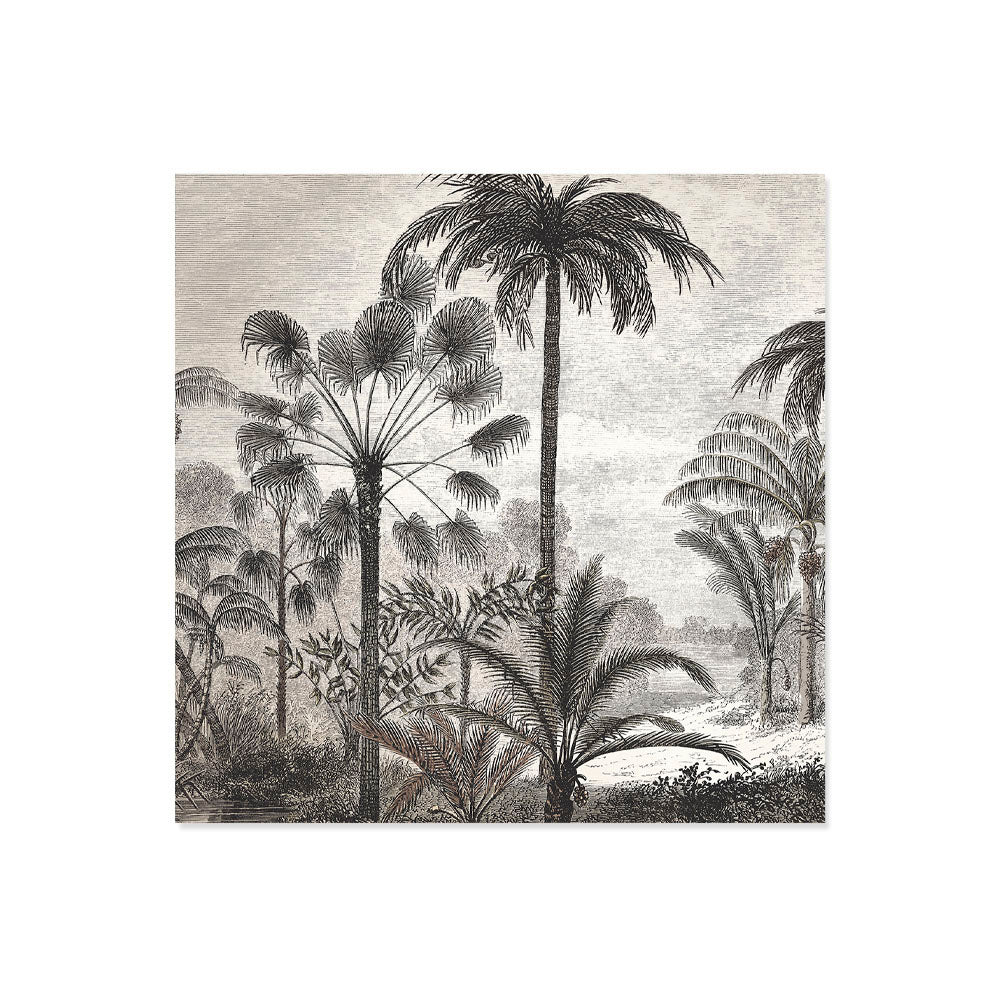 Lot de 6 dessous de verre vinyle Amazonia