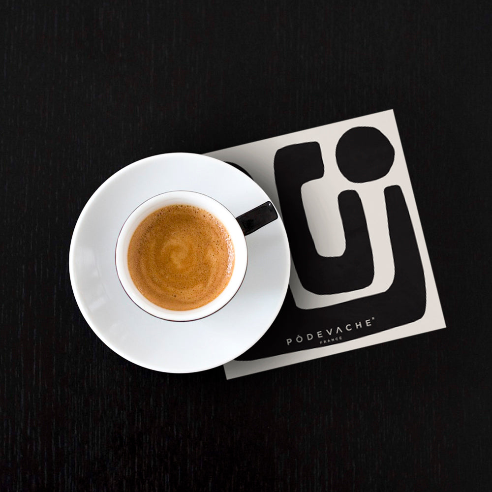 Lot de 6 dessous de verre vinyle Tolua