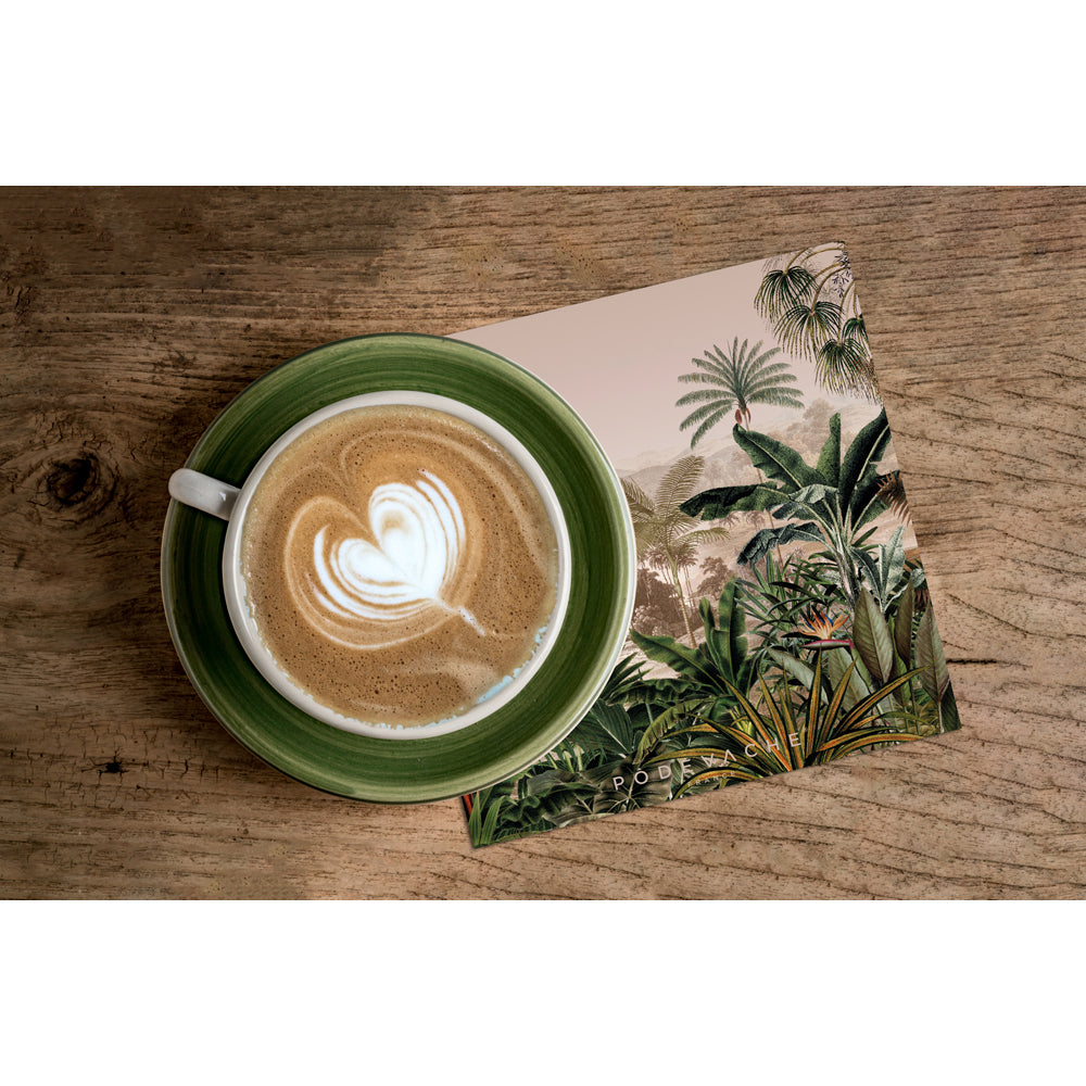 Lot de 6 dessous de verre vinyle Lapeo