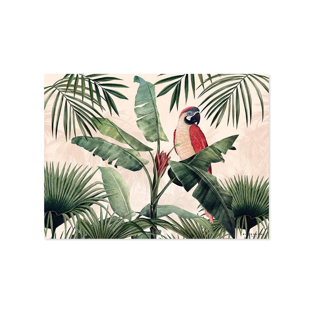 Set de table vinyle Bayano