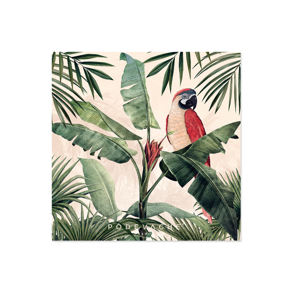 Lot de 6 dessous de verre vinyle Bayano