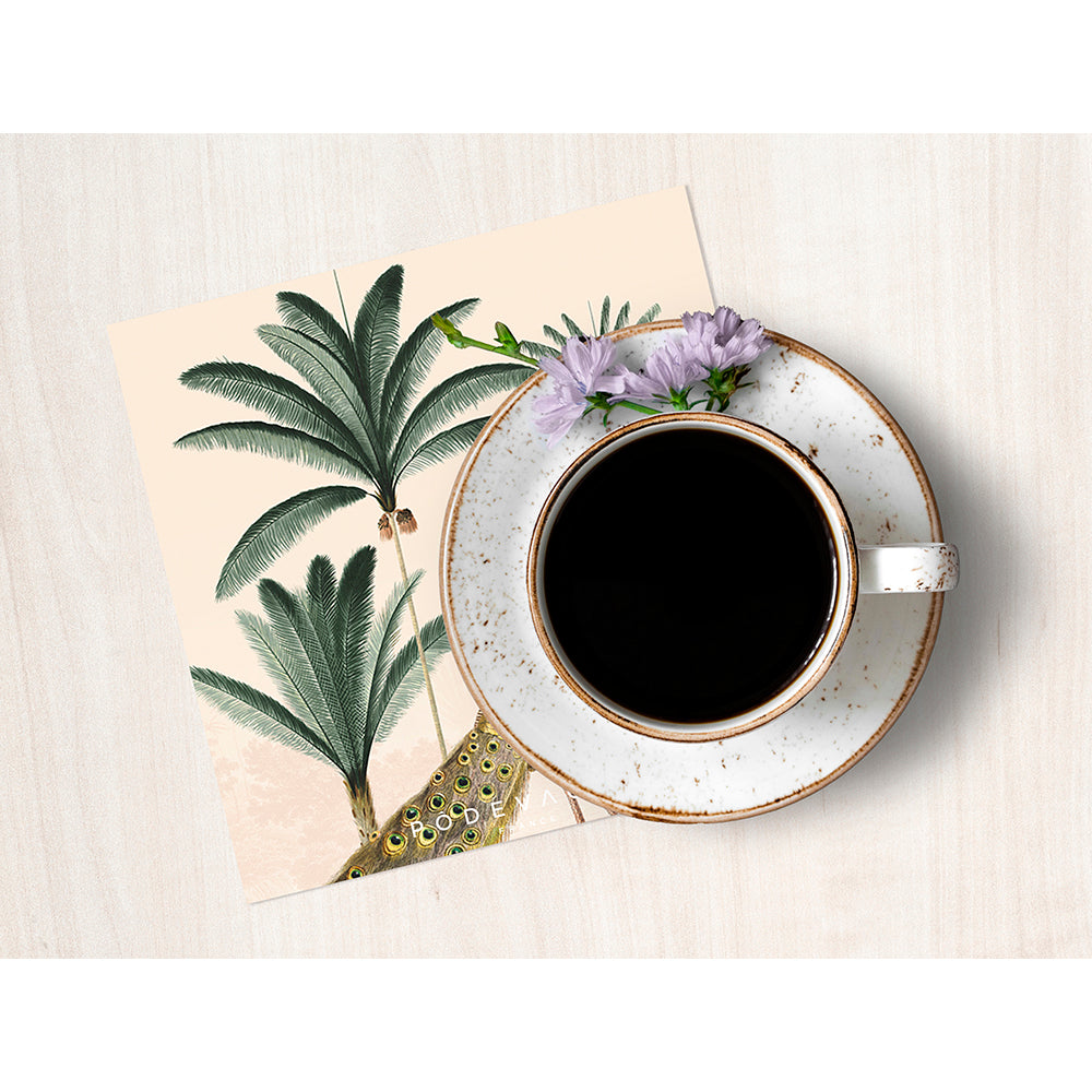 Lot de 6 dessous de verre vinyle Palmira