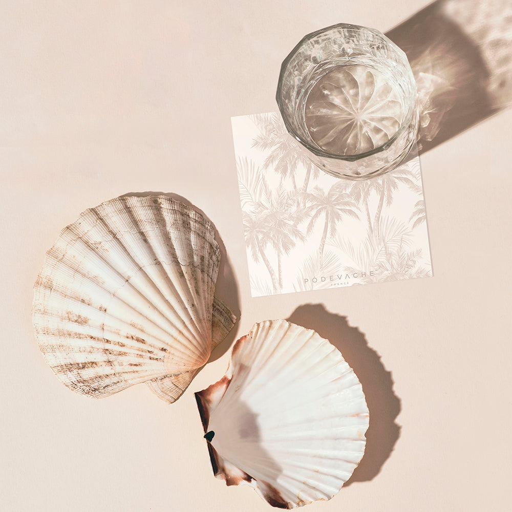 Set of 6 Guabo vinyl coasters