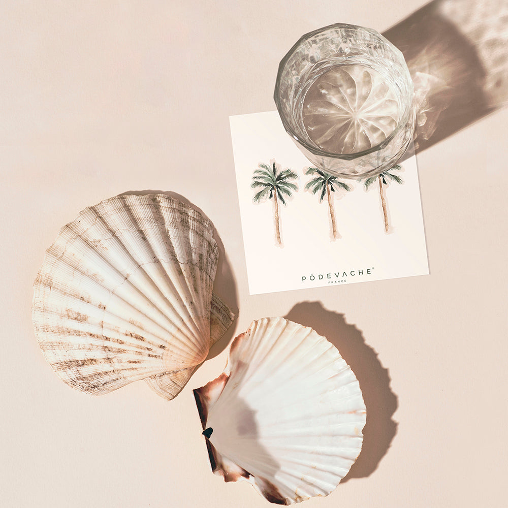 Lot de 6 dessous de verre vinyle Coco