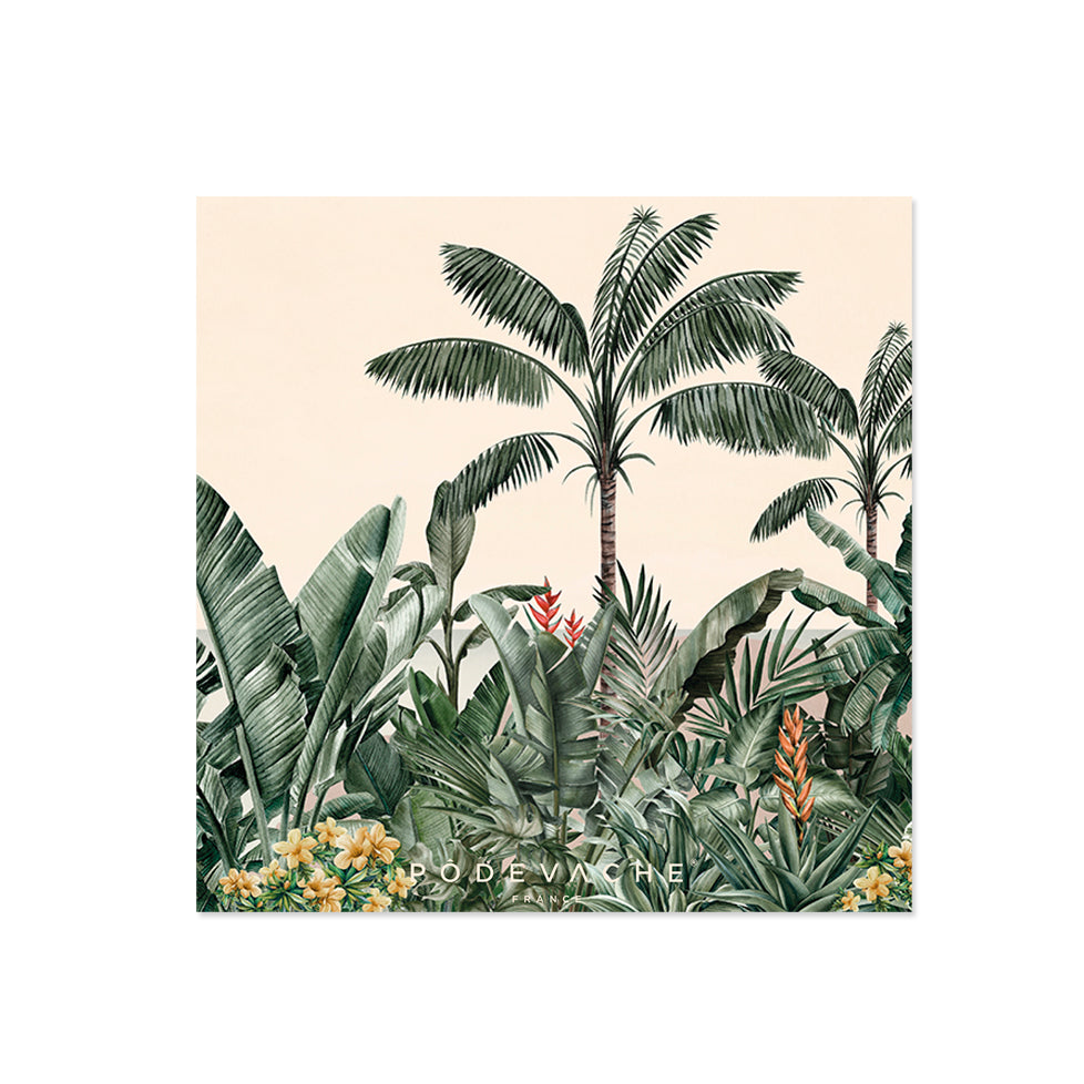 Lot de 6 dessous de verre vinyle Vista