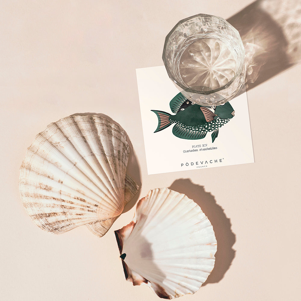 Lot de 6 dessous de verre vinyle Arriba