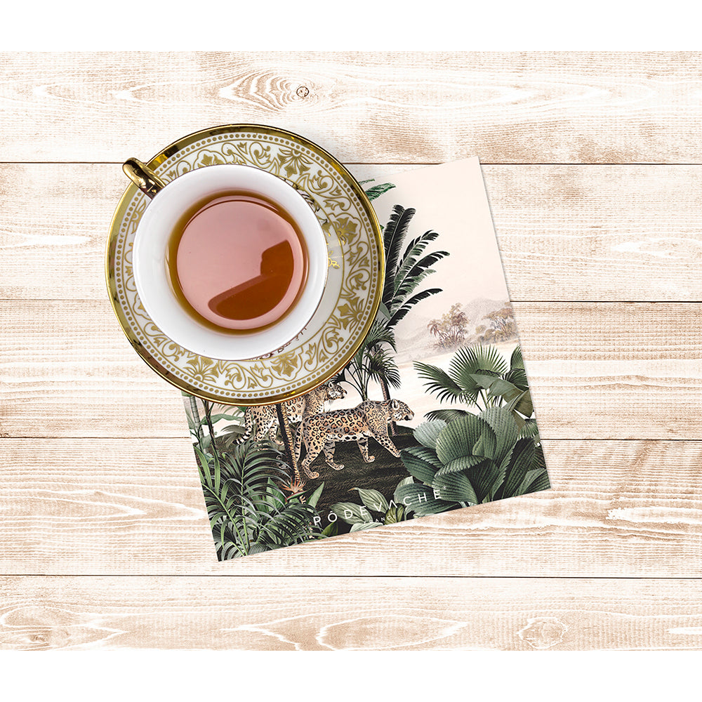 Lot de 6 dessous de verre vinyle Raipur