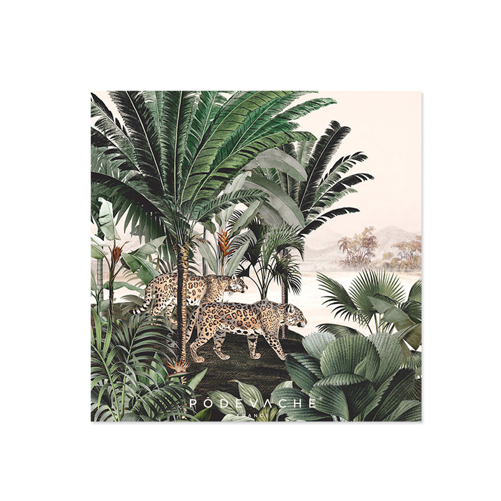 Lot de 6 dessous de verre vinyle Raipur