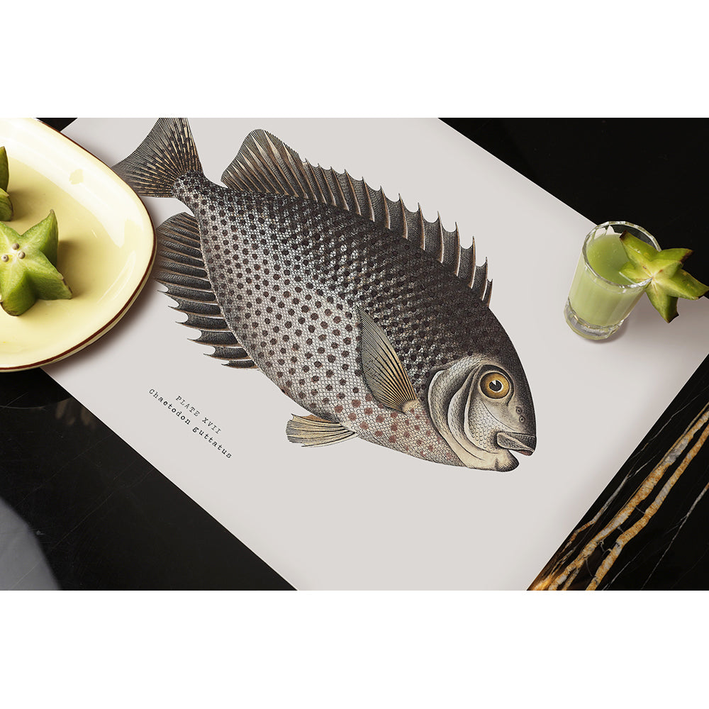 Set de table vinyle Chirala