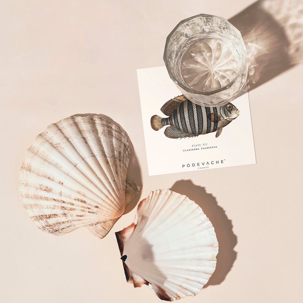 Lot de 6 dessous de verre vinyle Avadi