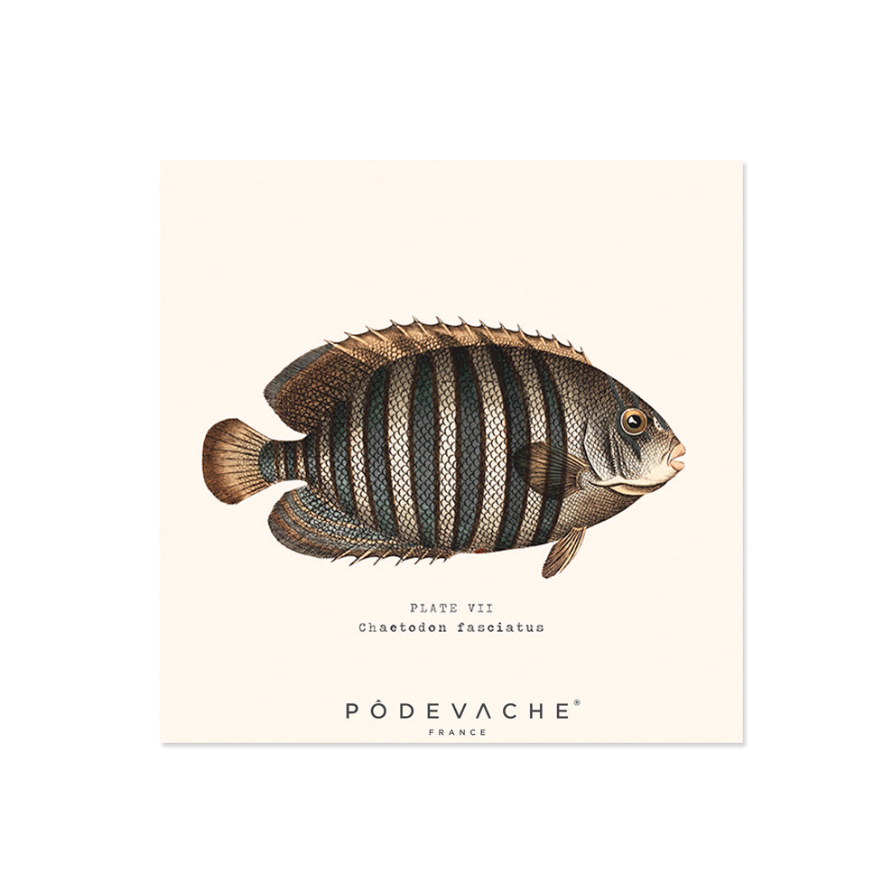 Lot de 6 dessous de verre vinyle Avadi