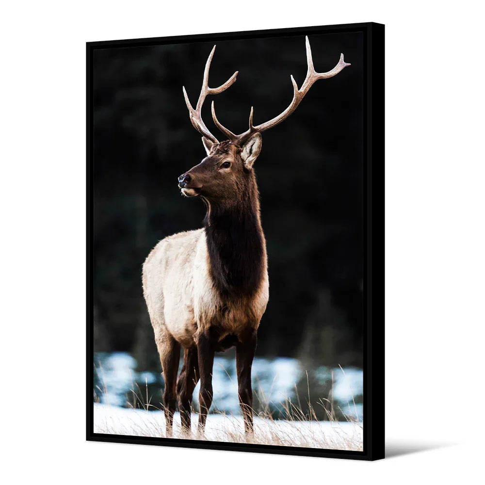 Tableau Cerf Pudu