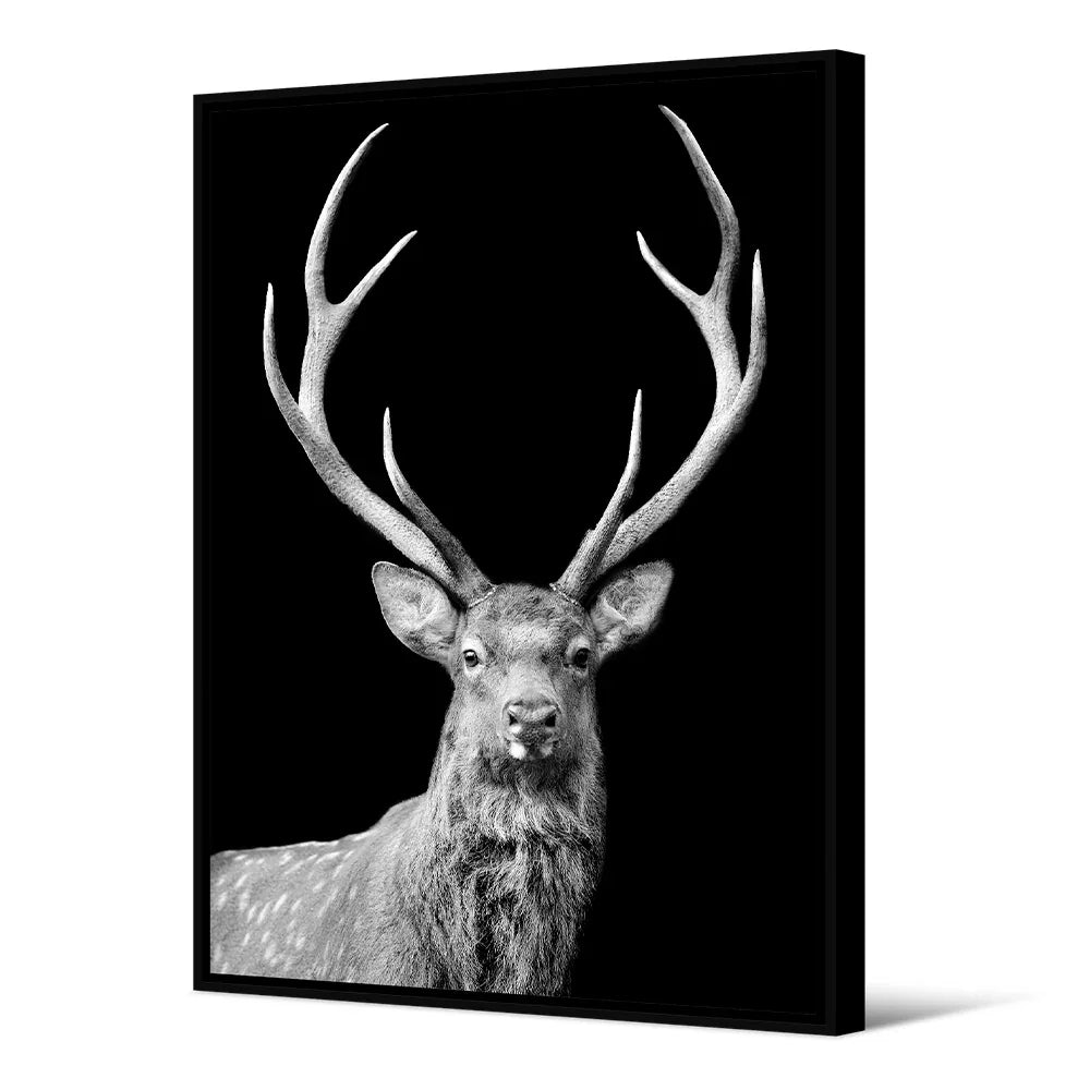 Capreolus Deer Painting