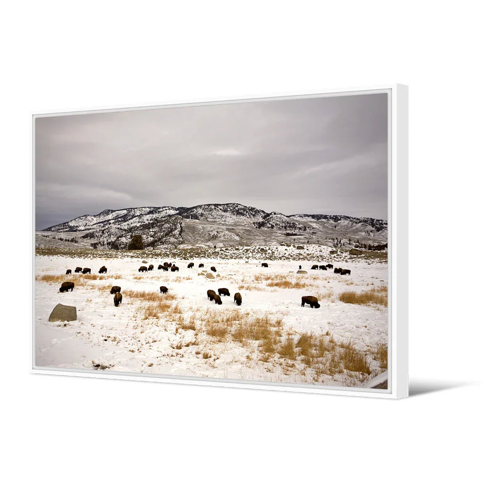 Tableau Patagonia