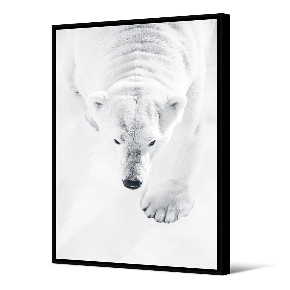Tableau Ours Polaire