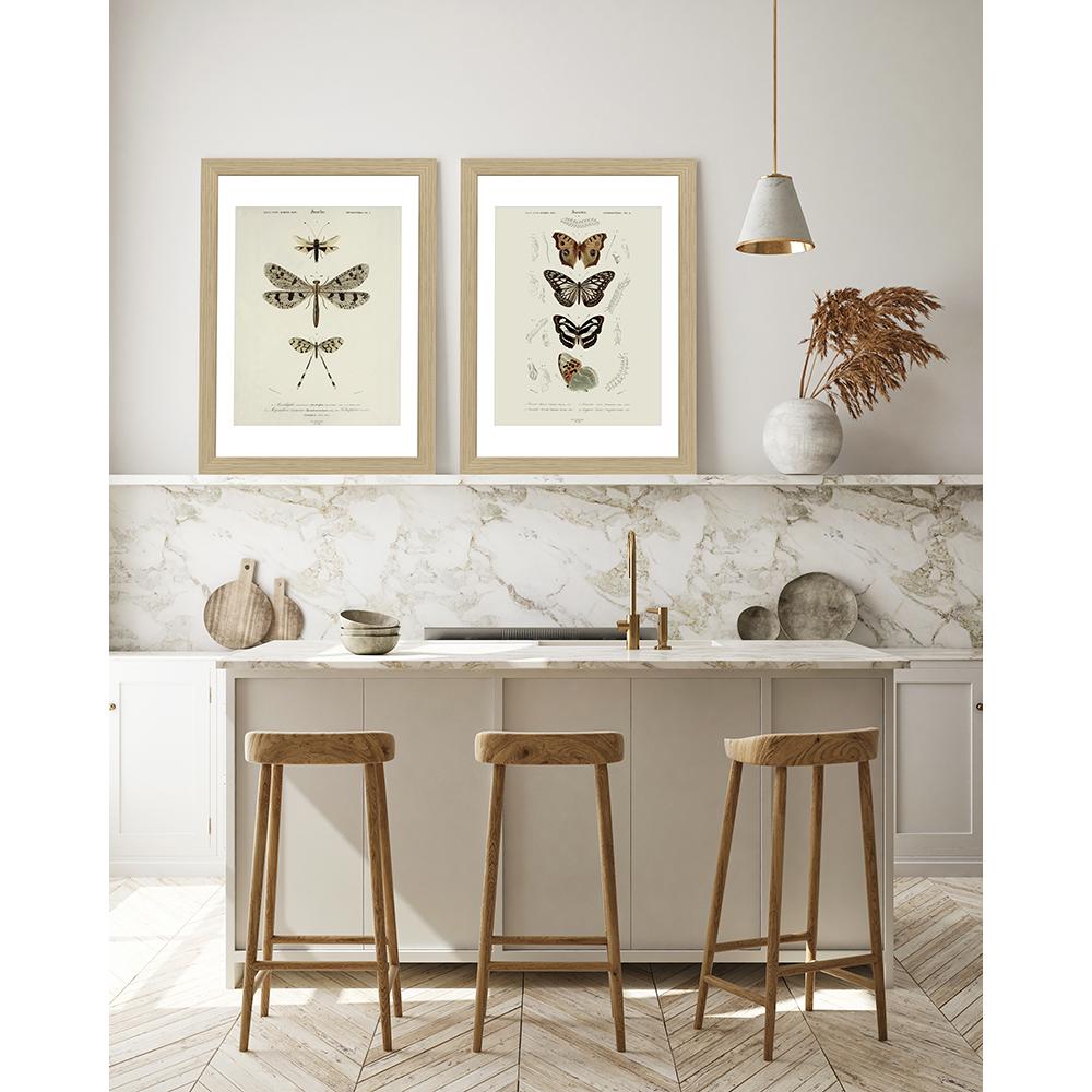 Framed Picture Selva