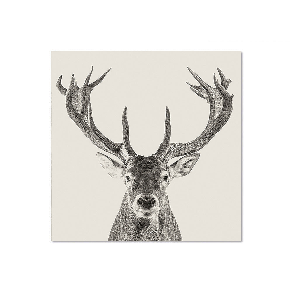 Set of 6 Ambler vinyl coasters