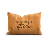 Belle Étoile embroidered velvet cushion