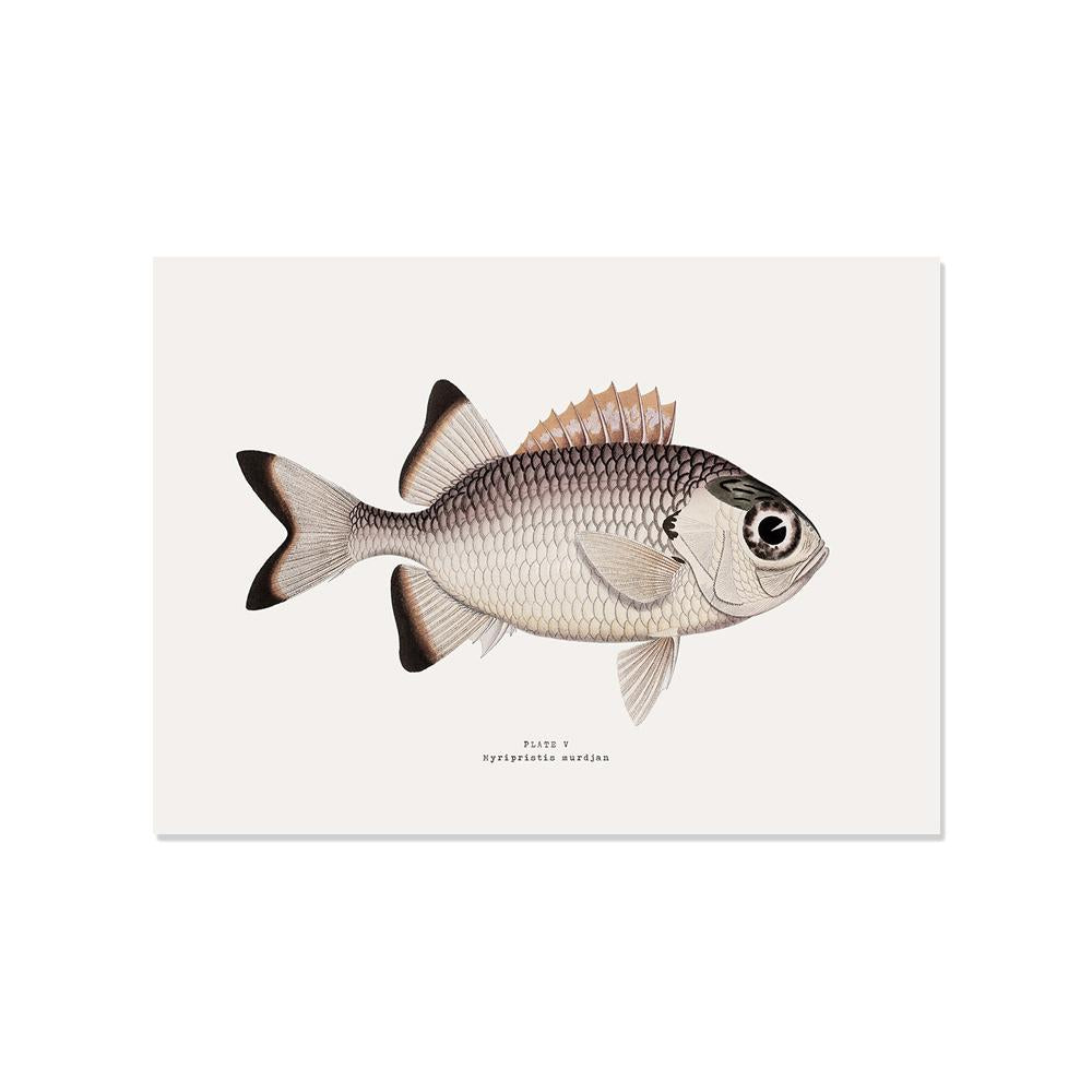 The fish print on this retro-colored placemat will add a trendy touch to your table decor!