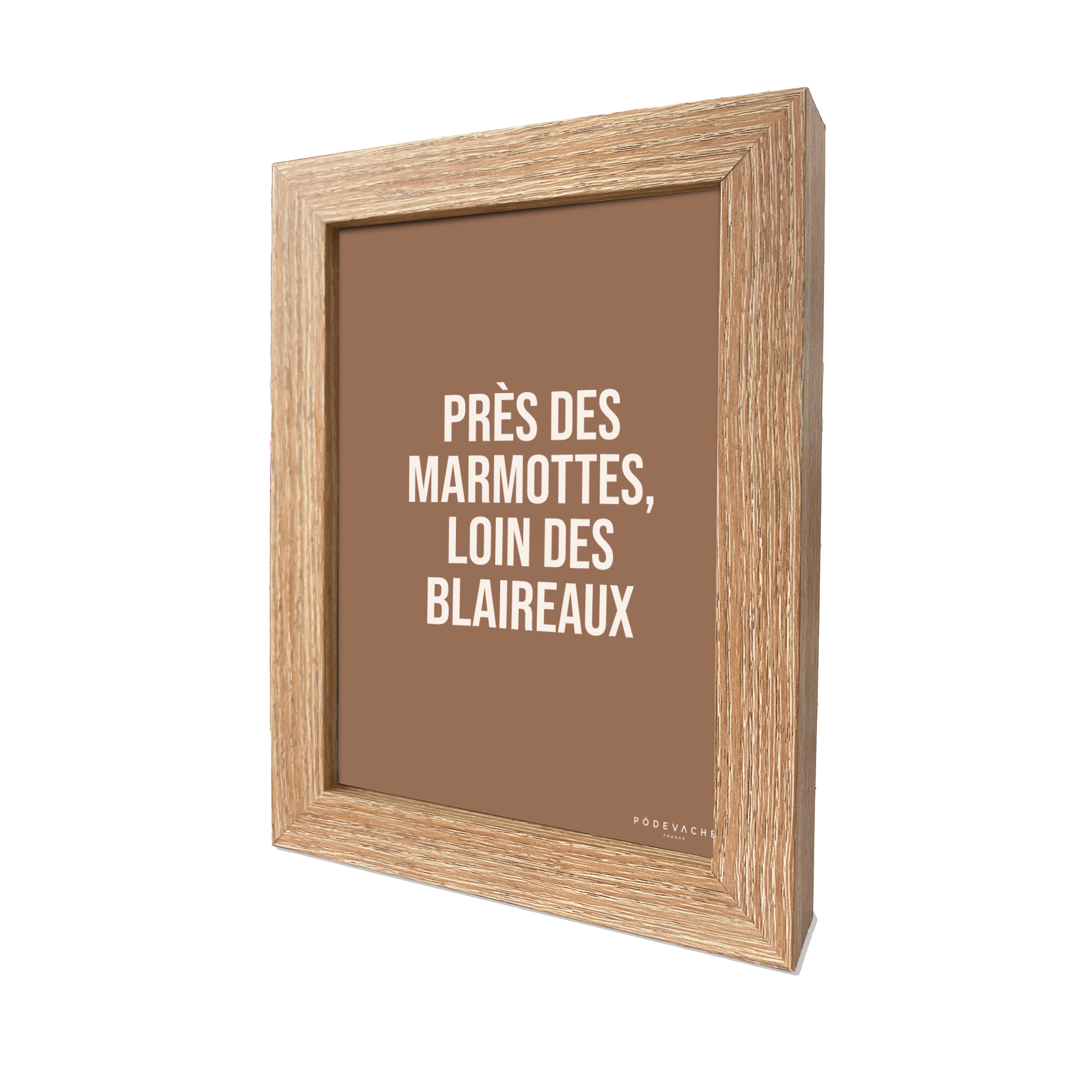 Carte postale message Marmotte