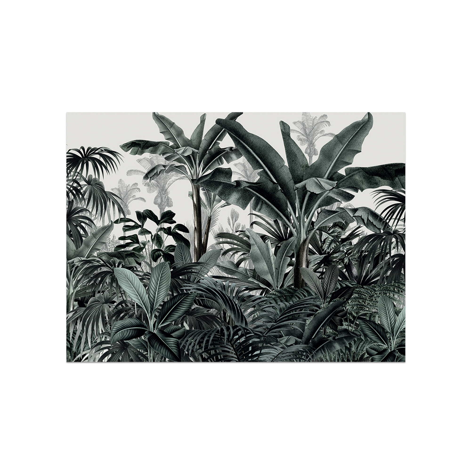 Set De Table Vinyle Jungle Palmy