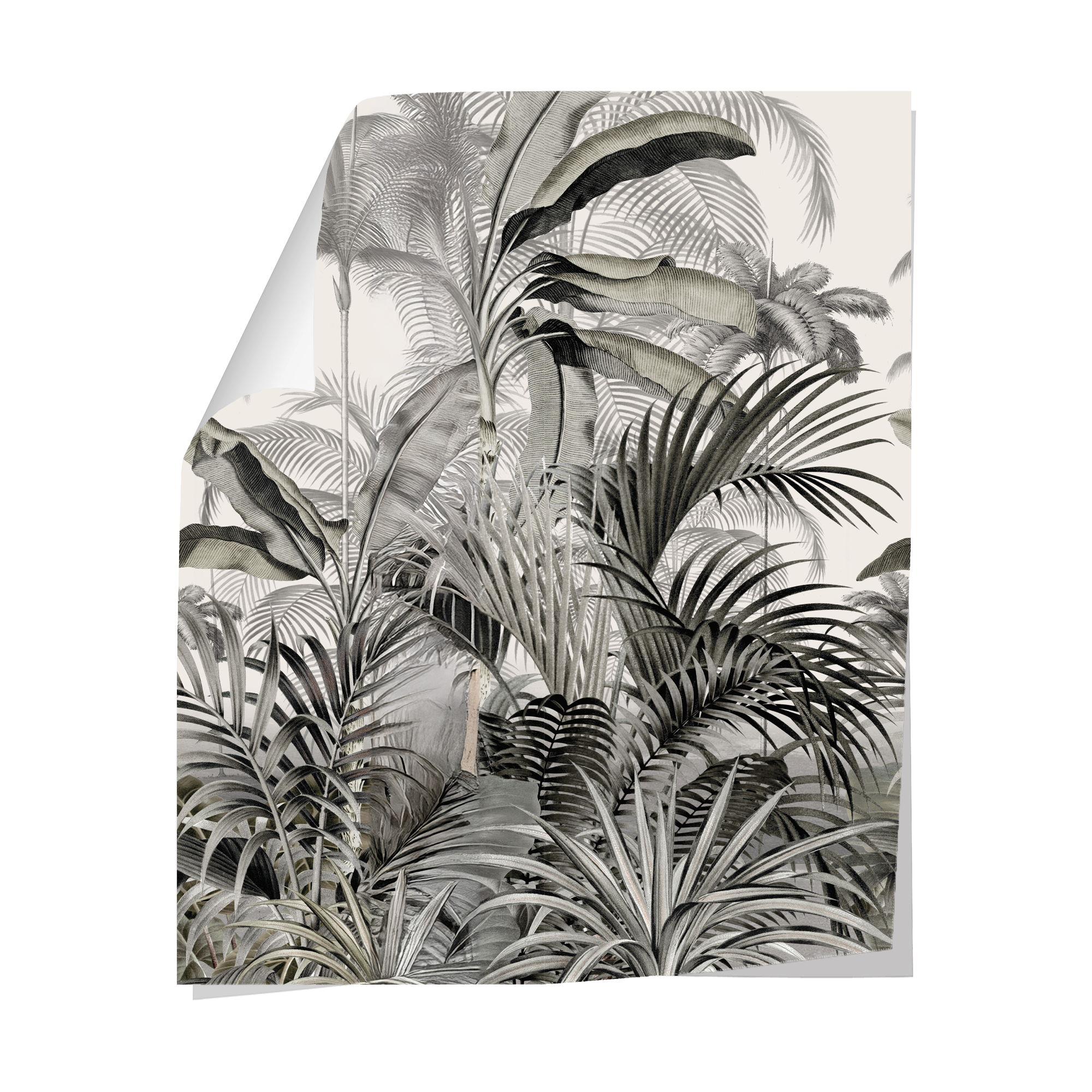 Papier peint Manakara