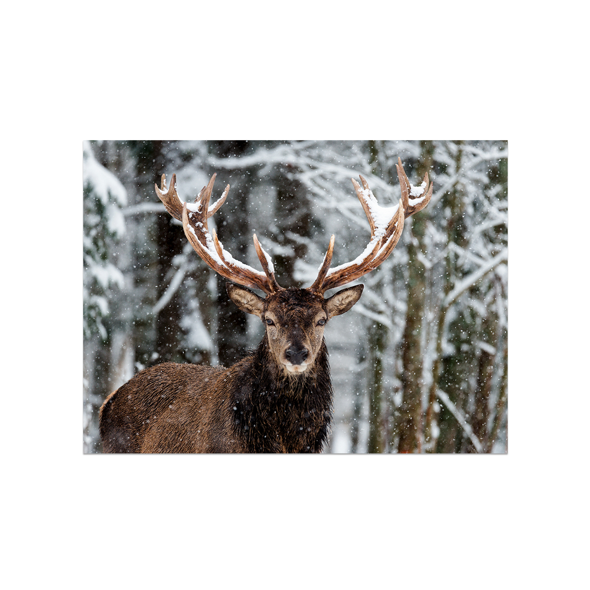 Mantel individual de vinilo Sección de madera