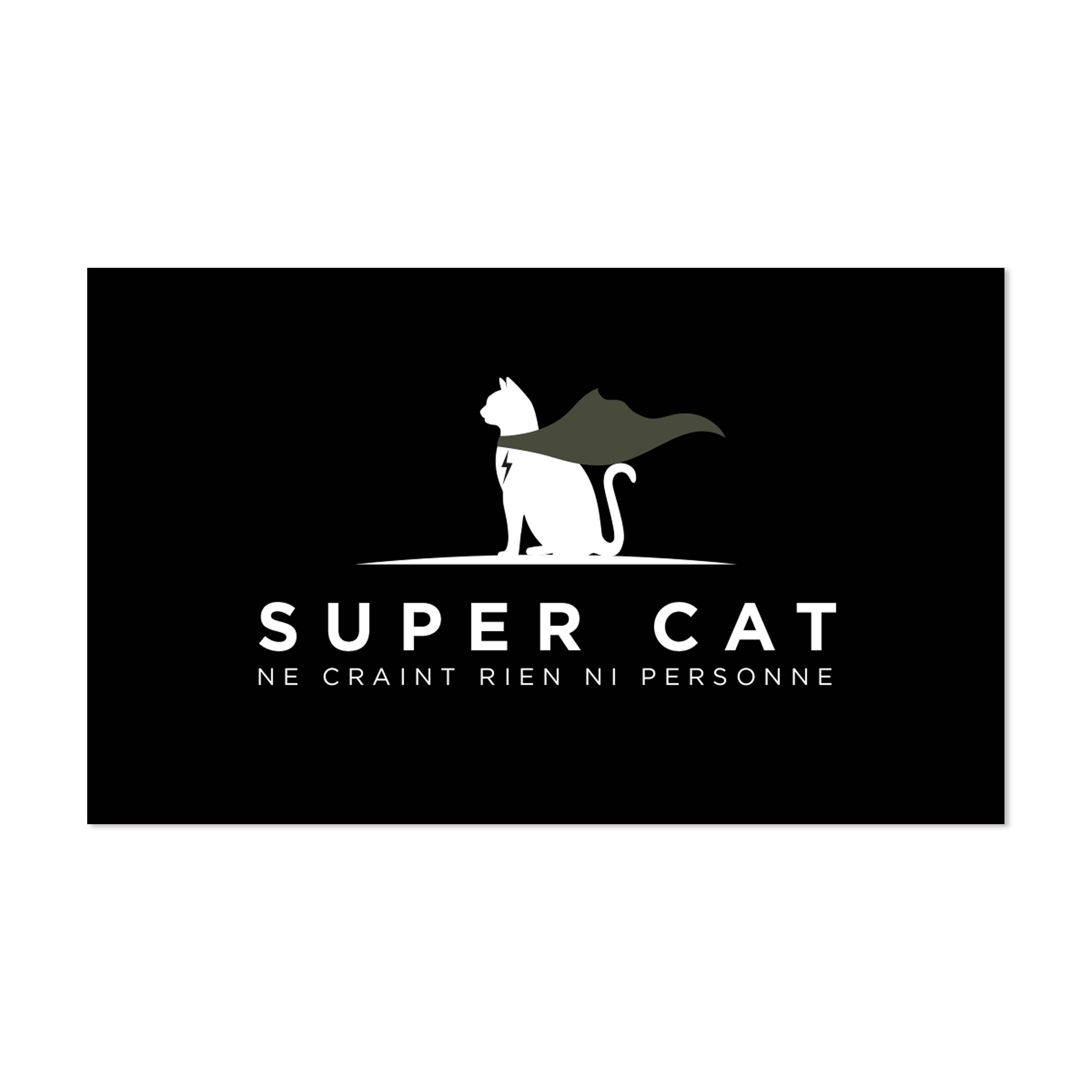 Tapis gamelle vinyle Super Cat