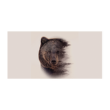 Tapis Vinyle Ours Ours Brun