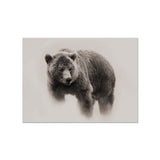 Set de table en vinyle rectangulaire — modèle Bear