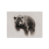 Bear vinyl placemat