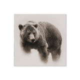 Dessous de verre en vinyle carré — modèle Bear