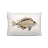 Coussin en velours rectangulaire — modèle Baladora