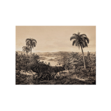 Set de table en vinyle rectangulaire — modèle Jungle Braza