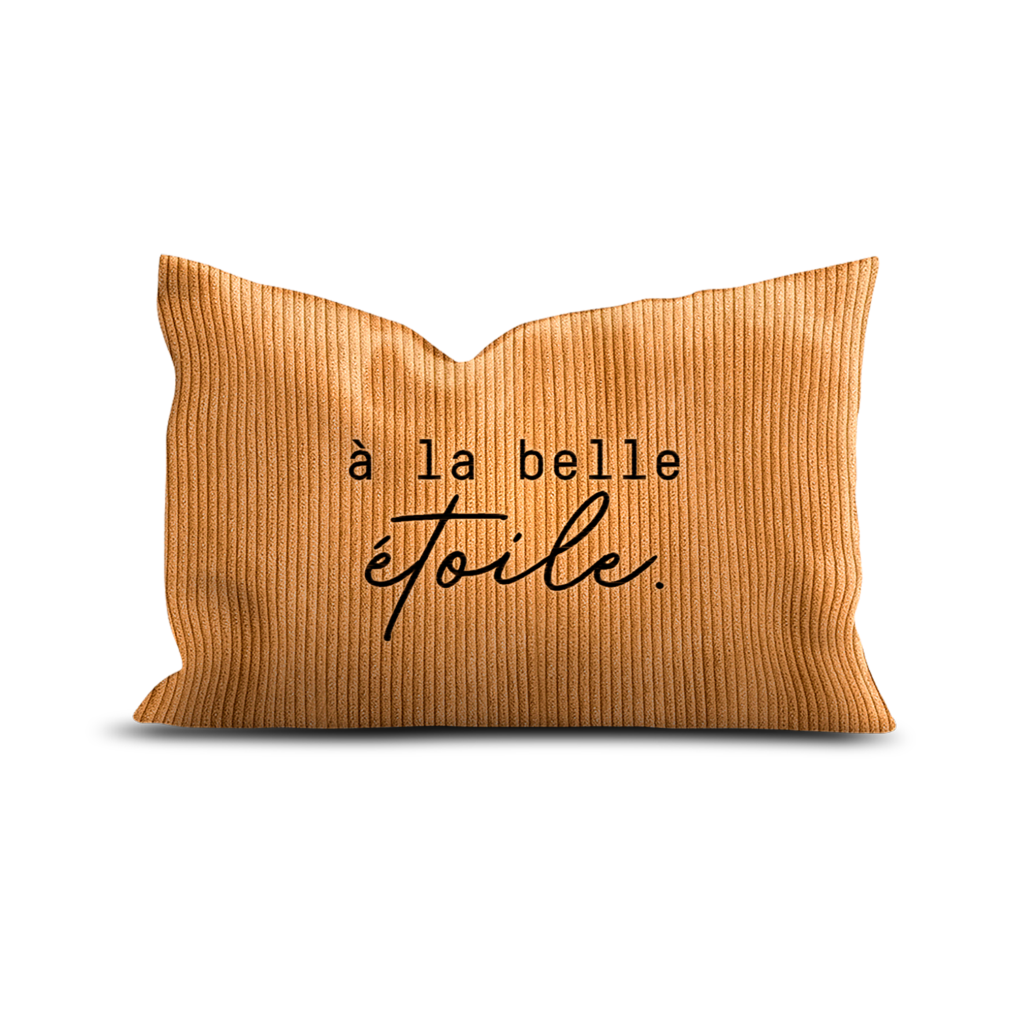 Coussin velours brodé Belle Étoile