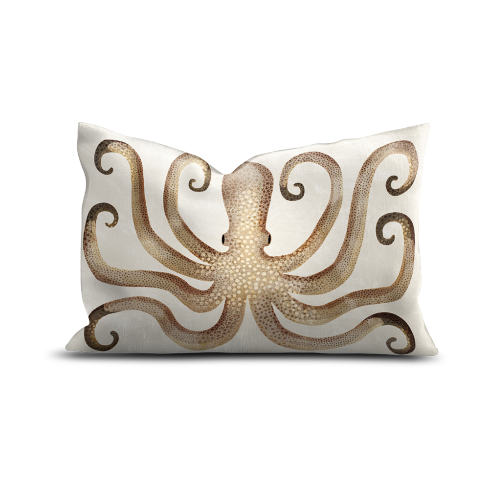 Coussin extérieur Pelosa