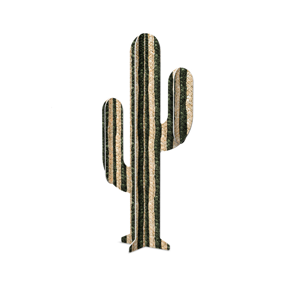 Cactus PVC Payson