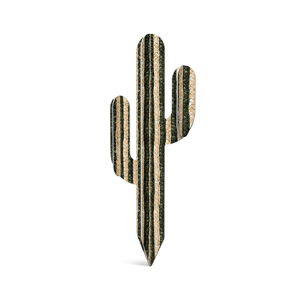 Cactus PVC Payson