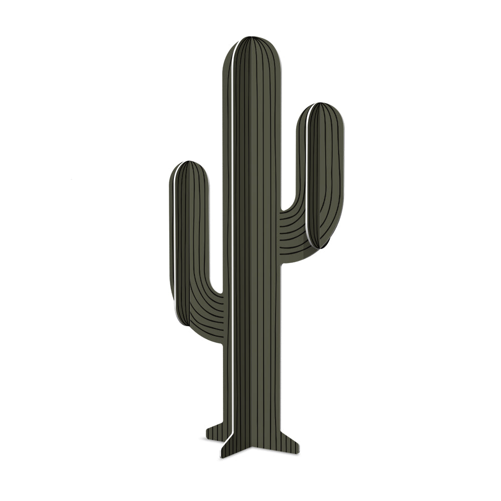 Cactus PVC Apache