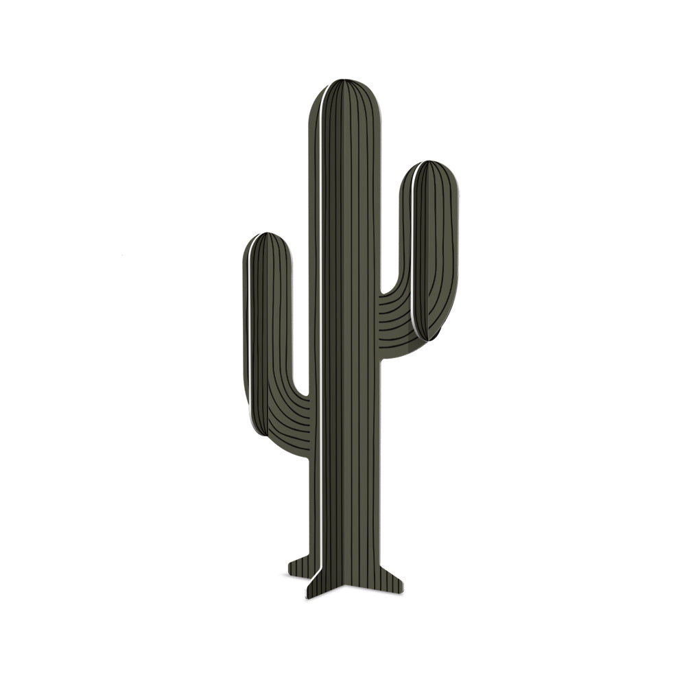 Cactus PVC Apache