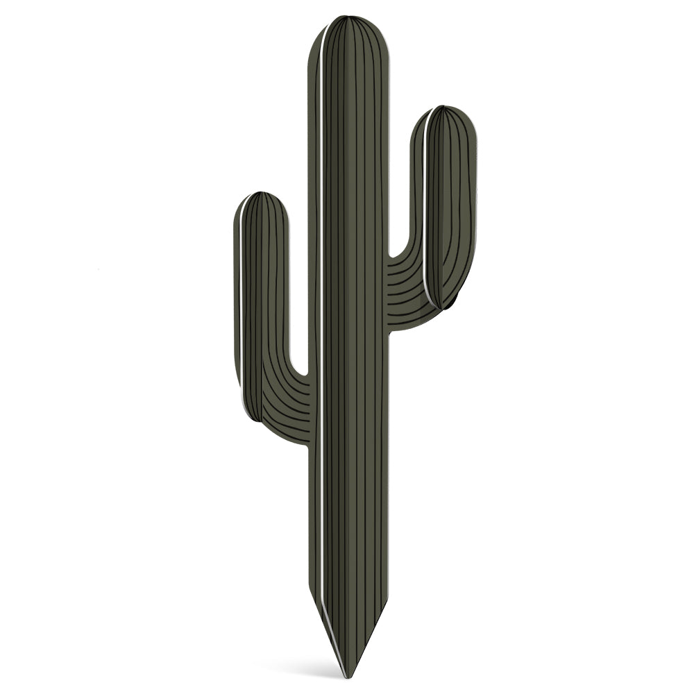 Cactus PVC Apache