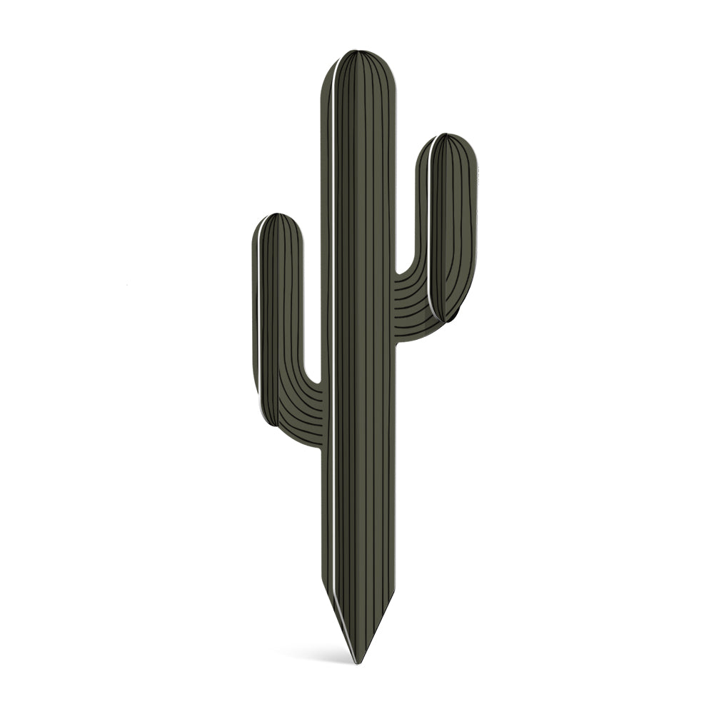 Cactus PVC Apache