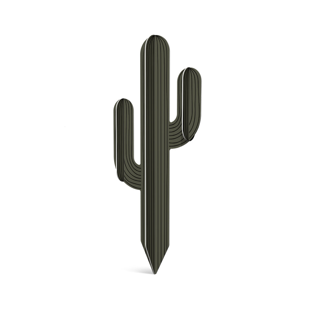 Cactus PVC Apache