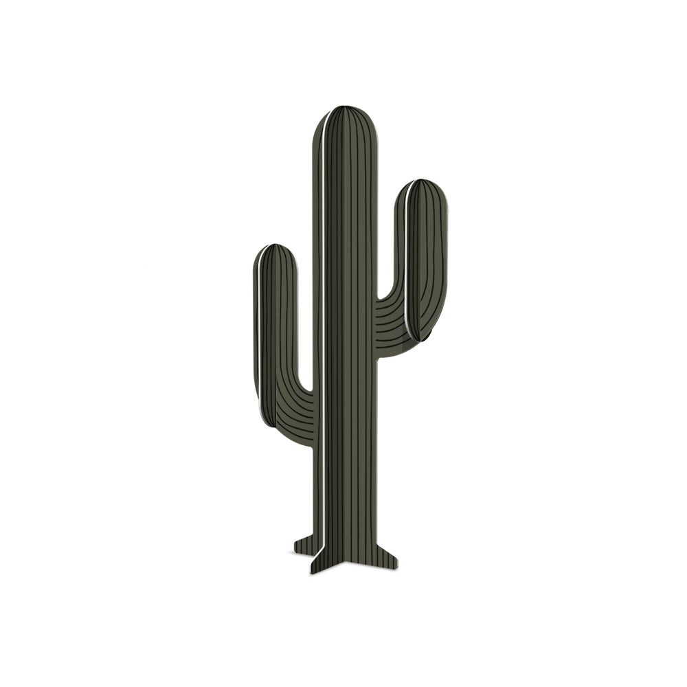 Cactus PVC Apache