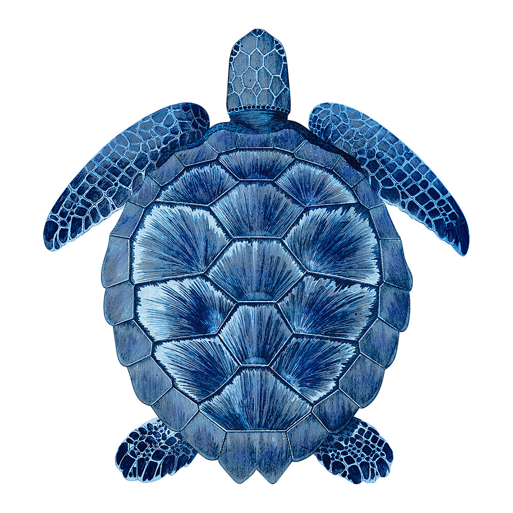 Tortue PVC