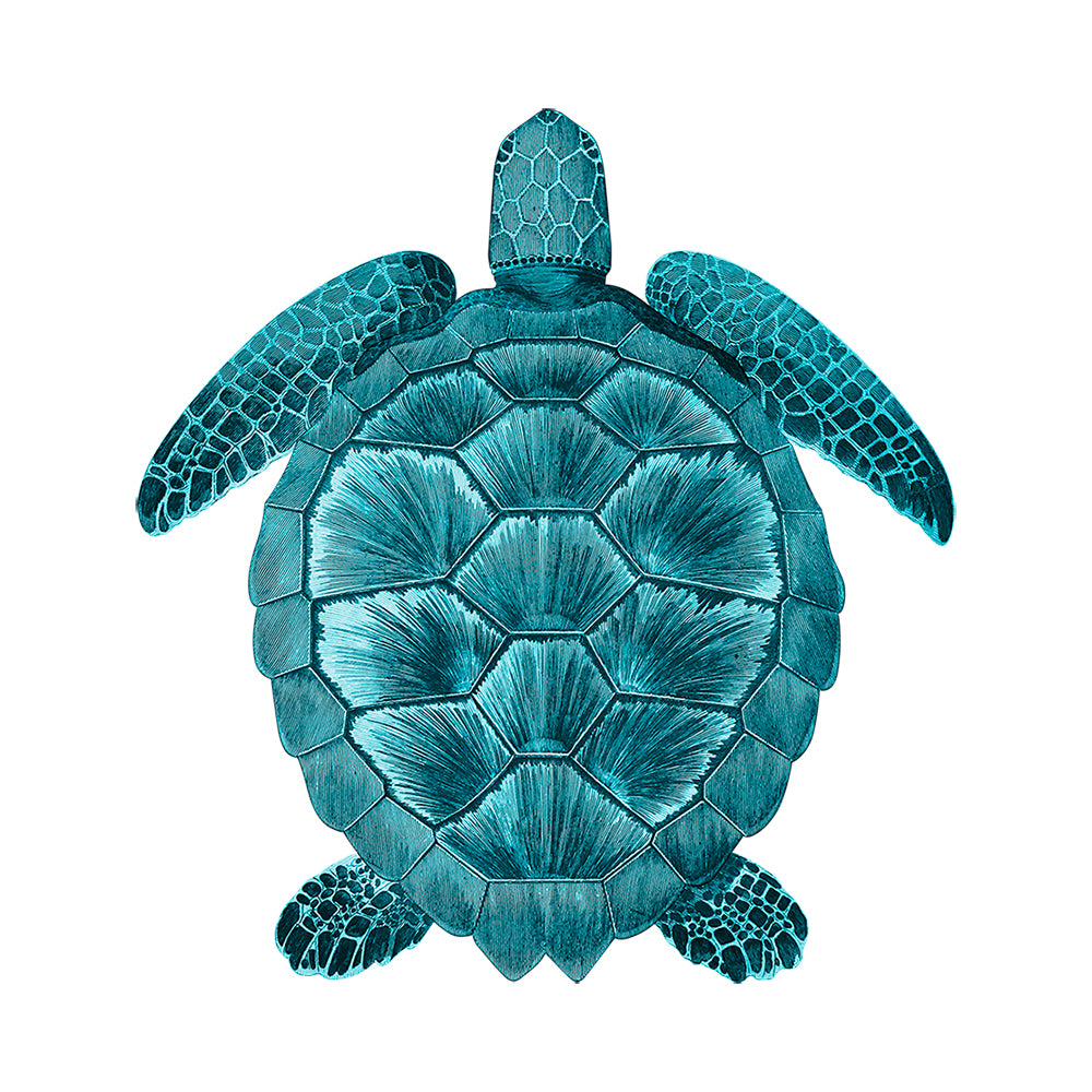 Tortue PVC