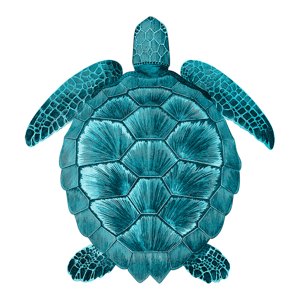 Tortue PVC