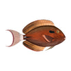 Poisson PVC Alvaro