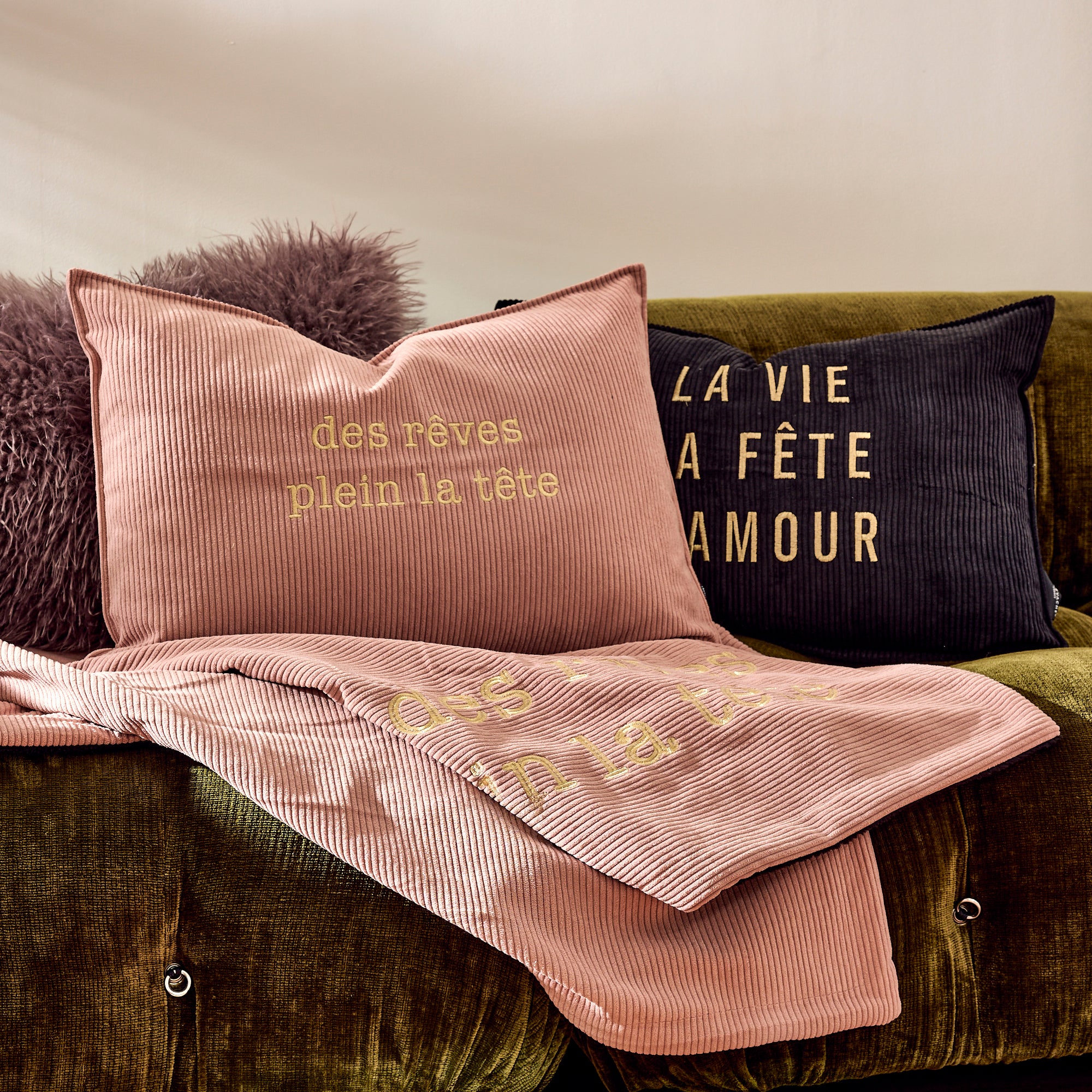 Coussin velours brodé Rêves