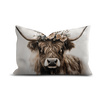 Coussin en velours — modèle Vache Kanderstag